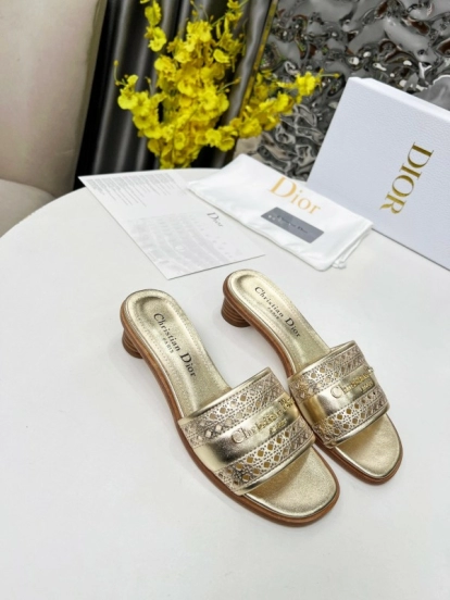 2025 Women Dior Gold Leather Slides